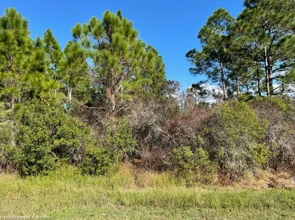 650 Aerostar Ave NW, Lake Placid, FL 33852