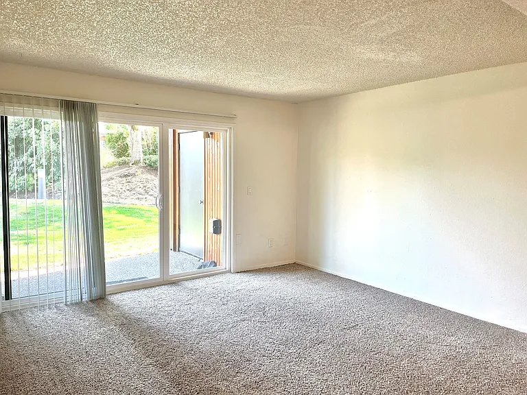 Downstairs living room