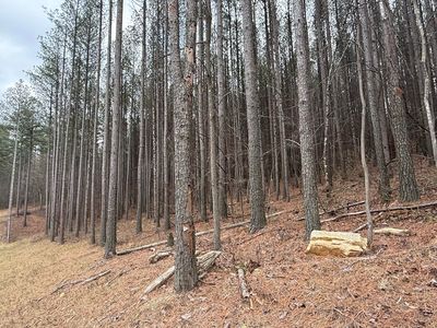 0 Birds Eye Way #1107, Guild, TN, 37340