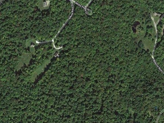 2nd image of 0 White Pine Dr