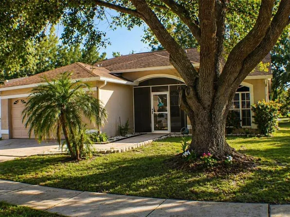 1723 Bell Ranch St, Brandon, FL 33511