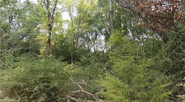 2nd image of 836 County Road 336