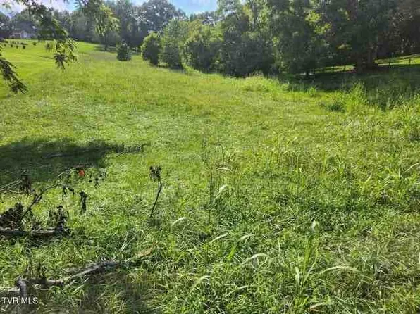 175 Bumpus Cove Rd, Erwin, TN 37650