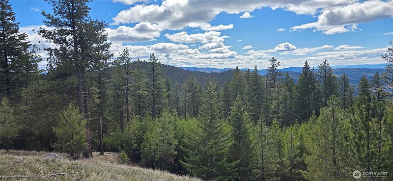 2nd image of 1112 TBD Bandtman Creek Rd