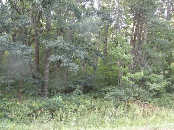 5 acres 23RD AVENUE, Nekoosa, WI 54457