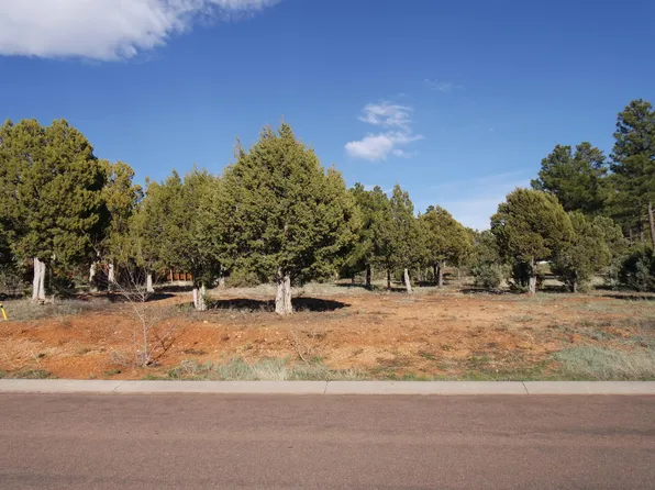 721 S Bushman, Show Low, AZ