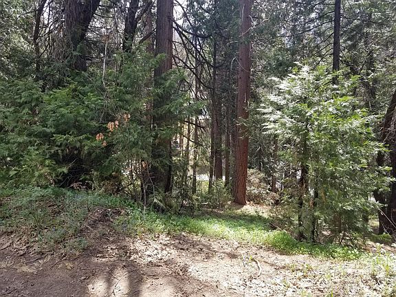 5th image of 349 Mariposa Dr