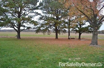 Peaceful View
						:
						View from the back porch