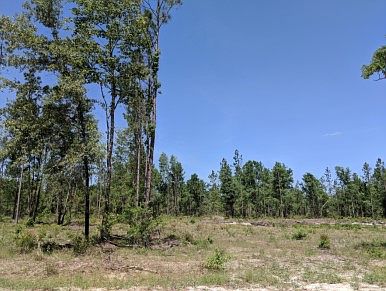 4th image of 185 Road