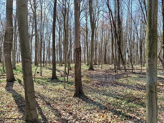 4th image of 0 Township Road 38
