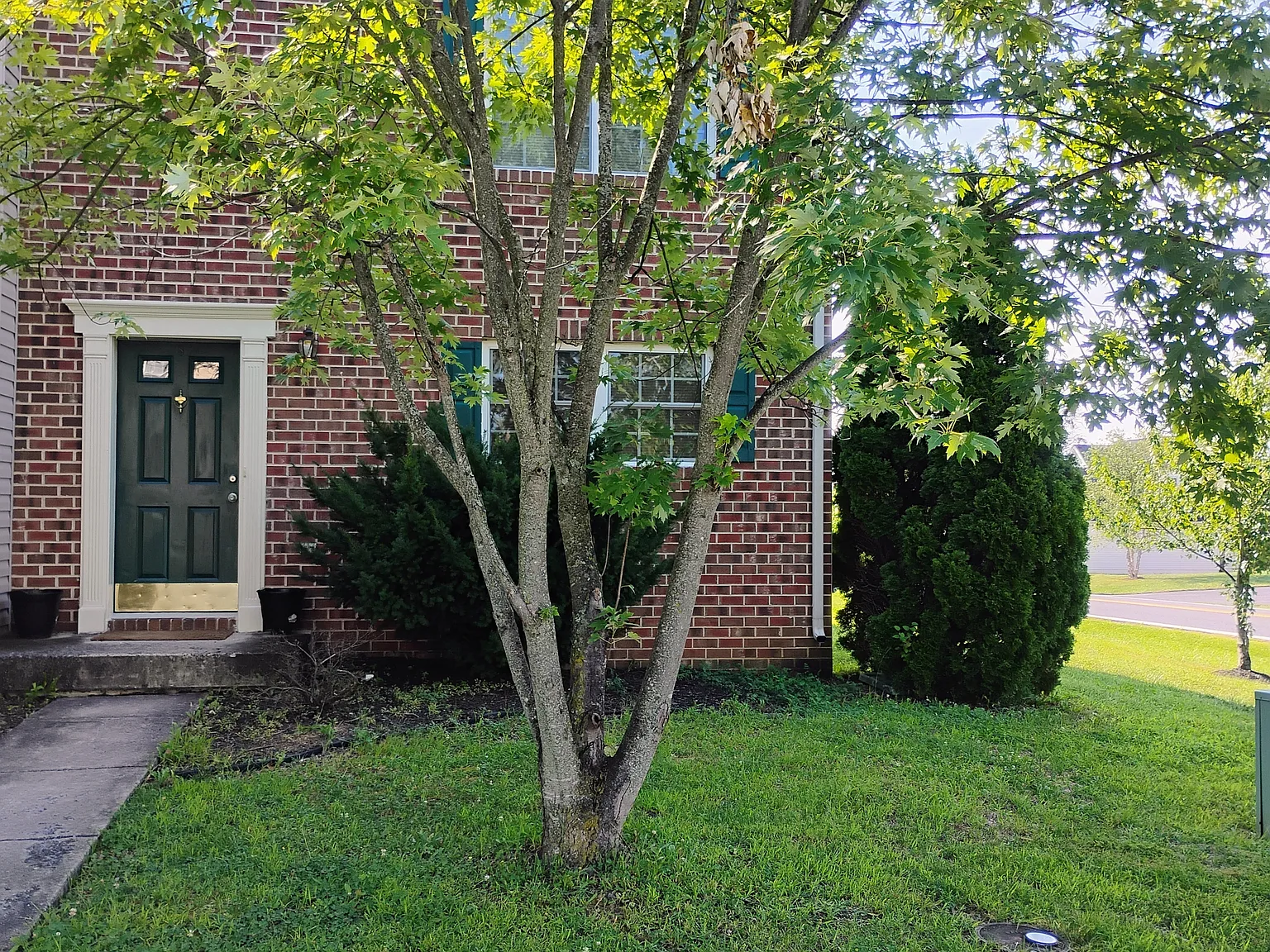 3 bed, 2.5 bath, 1360 sqft, $1,645 — Photo 1