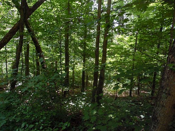 4th image of 881 Fawn Hill Loop