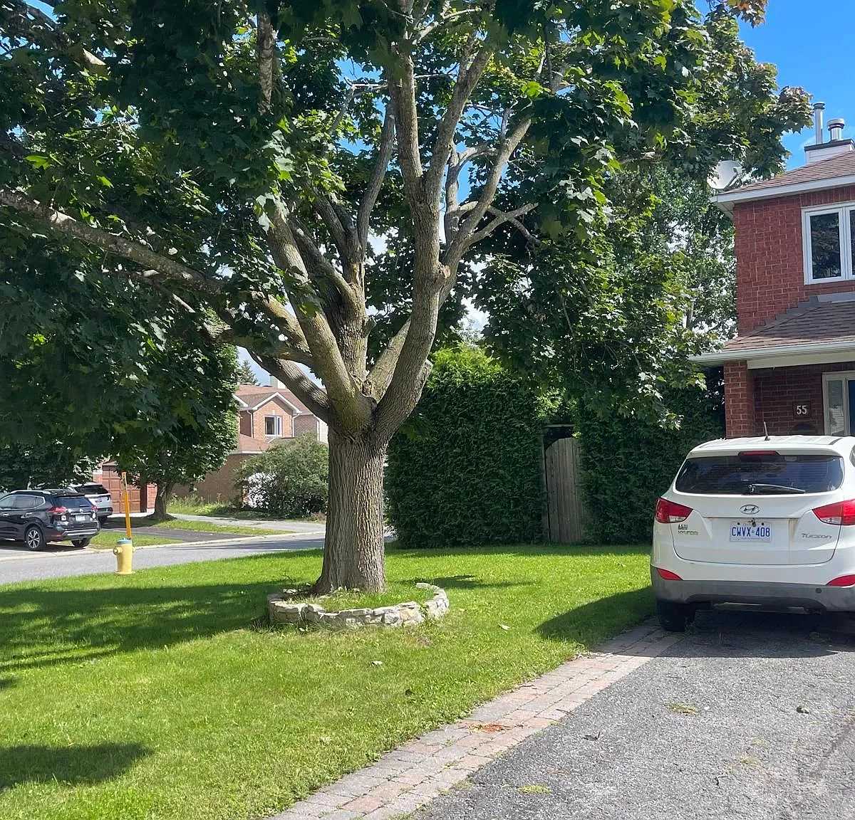 3 bed, $2,700 — Photo 2