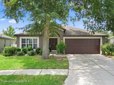 14987 Red Bloom Pl, Brooksville, FL, 34604