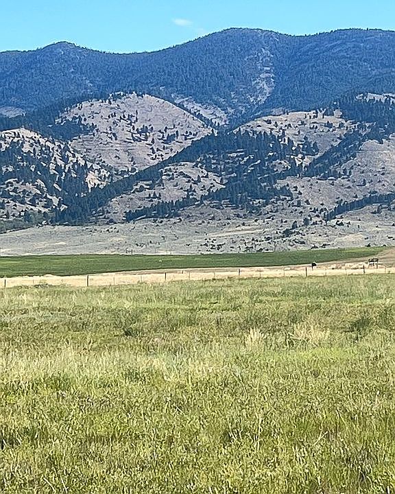 1st image of 0 Brown Pony Trl