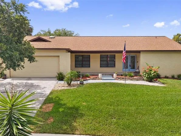2311 Long Green Ct, Valrico, FL 33596