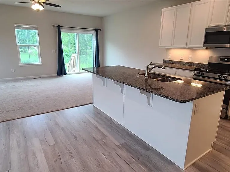 1157 Meadow Run — Photo 3
