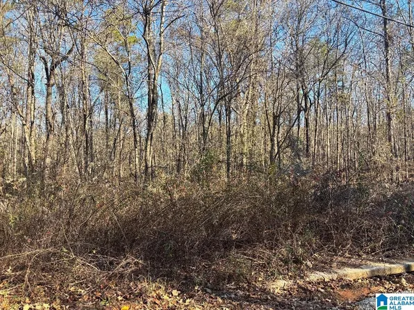 449 Davis St #20, Wilsonville, AL 35186