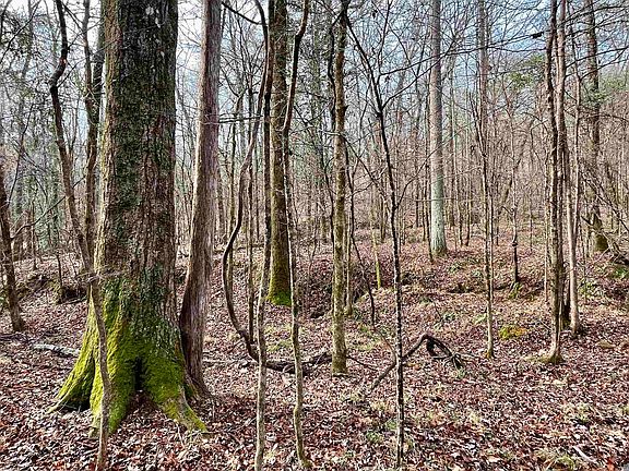 5th image of 10078 Old Port Gibson Rd