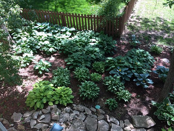 4th image of 5116 Hedges Ave