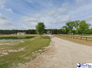 114 E Lynches River Rd, Lamar, SC 29069