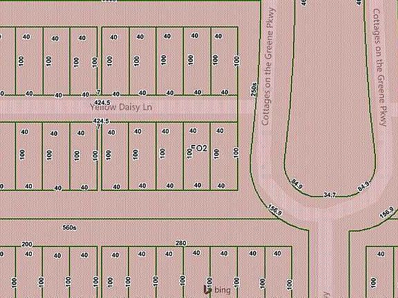 5th image of Yellow Daisy Ln