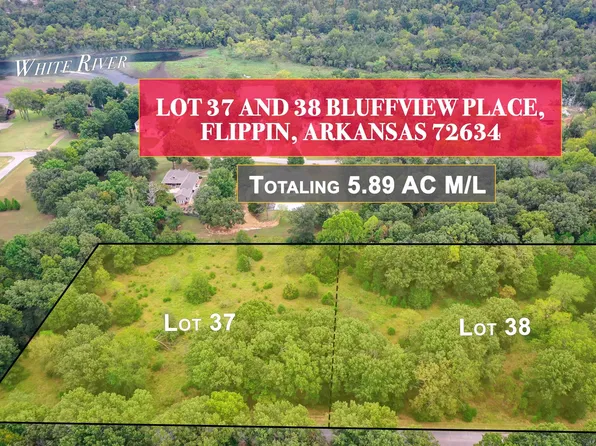 Lots 37 And 38 Bluffview Pl, Flippin, AR 72634