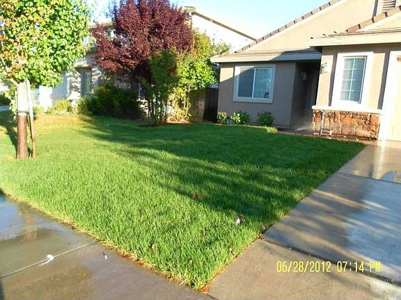 Front Yard
