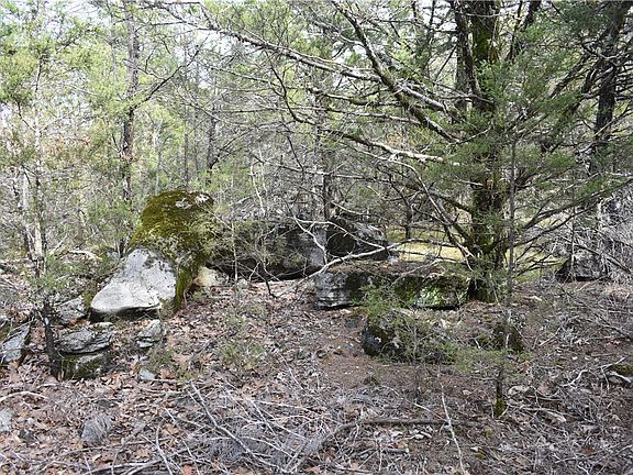 5th image of Cedar Creek Rd