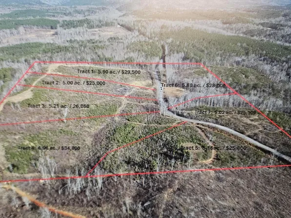 0 Frozen Hollow Rd, Carbon Hill, AL 35549