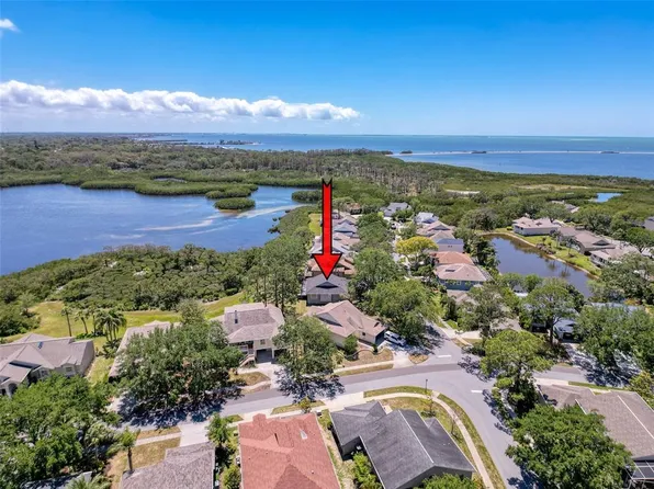 1003 Teal Point, Tarpon Springs, FL 34689