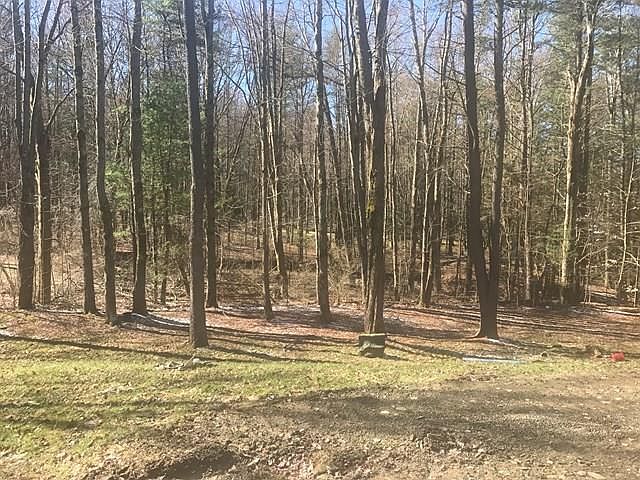 2nd image of 10971 Williams Rd