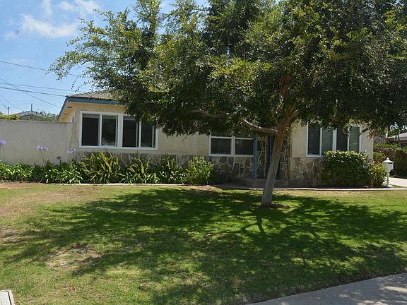 Beautiful Chinese Elm Shade Tree and Flowers in Front Yard