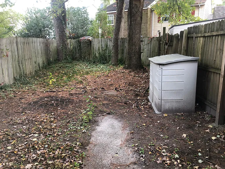 Back Yard with Small Shed