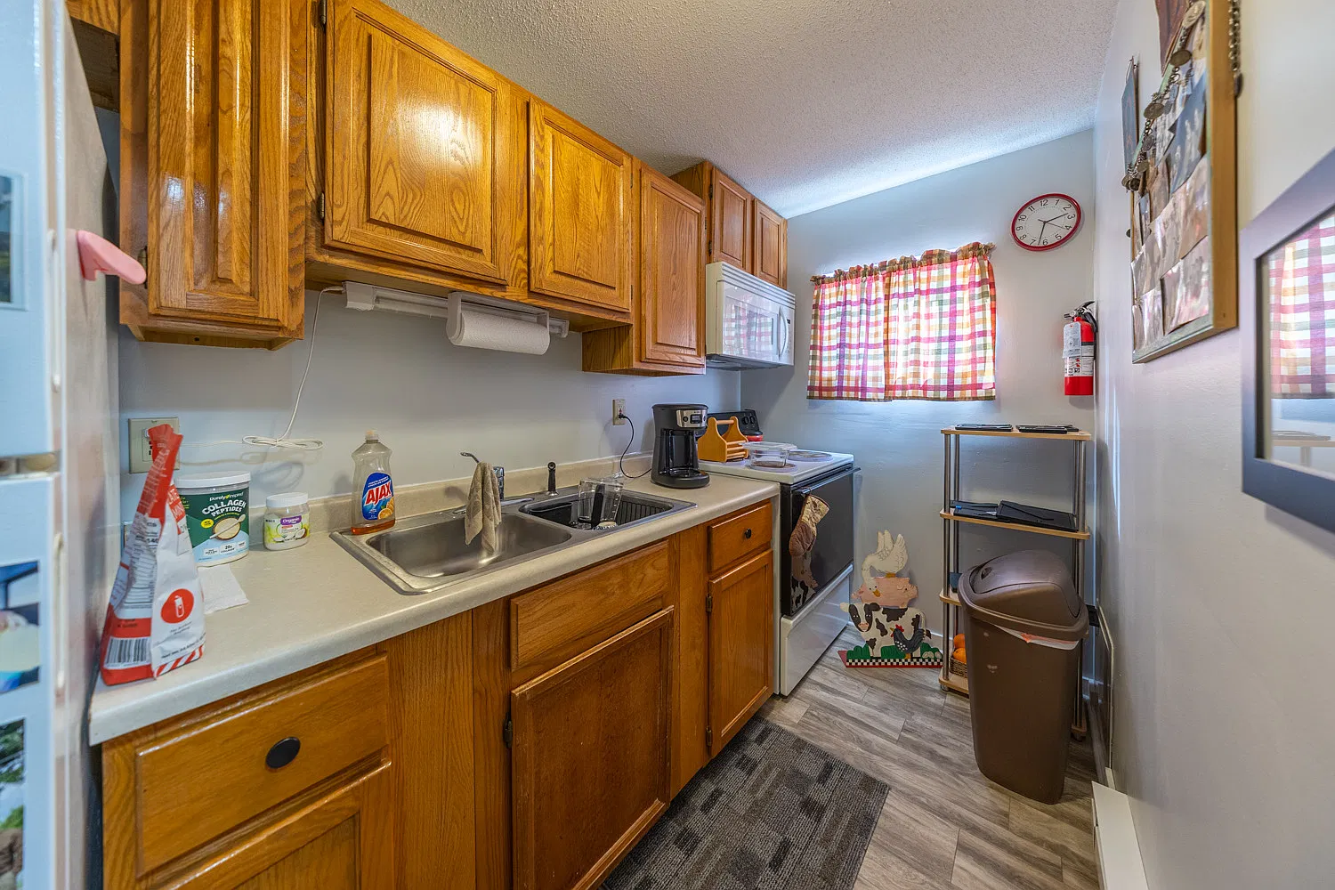 Studio, 390 sqft, $890 — Photo 3