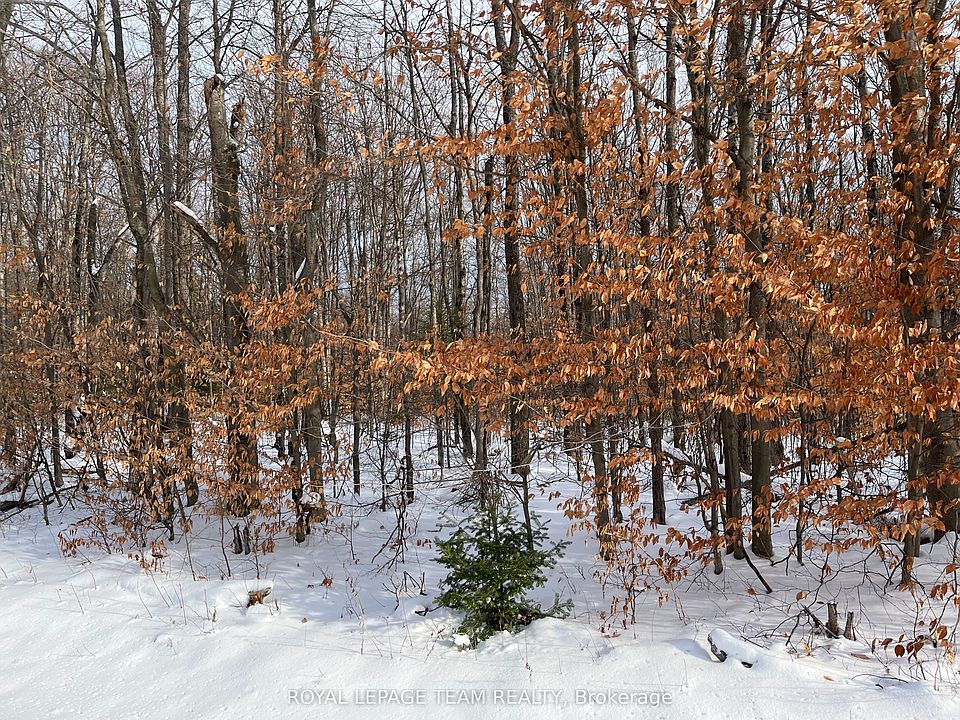 1st image of 0 Siberia Rd