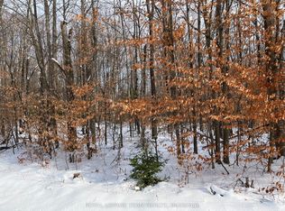 0 Siberia Rd, Madawaska Valley, ON K0J 1B0