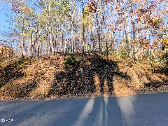 3rd image of 483 School House Gap Rd House Gap