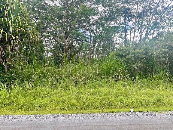 2nd image of LOT 156 19th Ave Lot 156