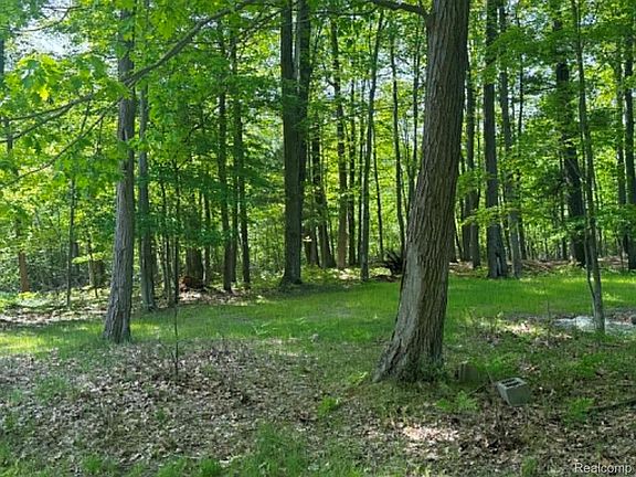 3rd image of LOT 4 Towering Oaks Dr