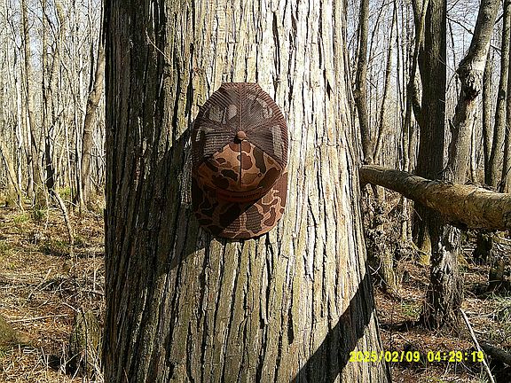 3rd image of 0 Elko Rd