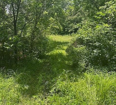 2nd image of 2236 County Road 561