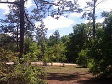 2nd image of 2324 Camors Rd