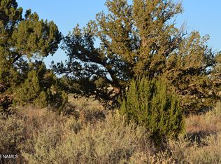 377 S Sierra Dr #178, Williams, AZ 86046