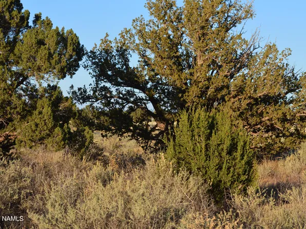 377 S Sierra Dr #178, Williams, AZ 86046