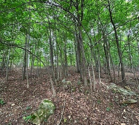4th image of 0 Cove Gap Rd #1