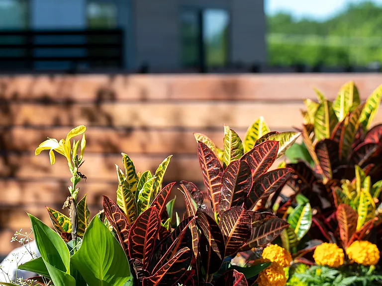 Lowa46 — Photo 25