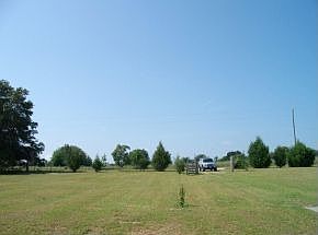 Front yard