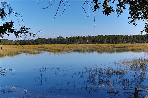 Marsh & River Views