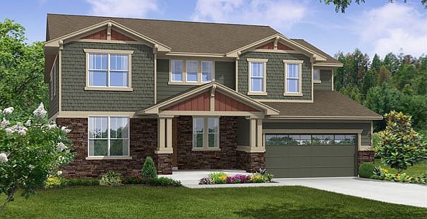Elevation C